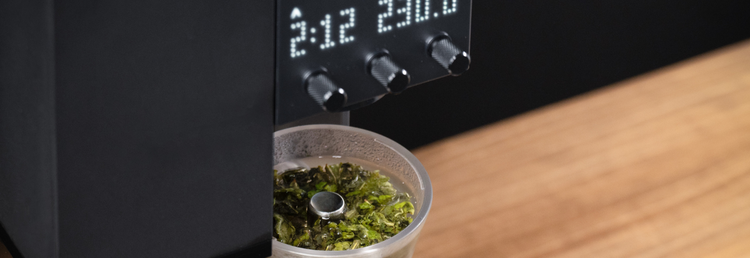 Tea