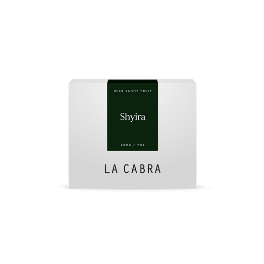 Shyira Anaerobic 48hr